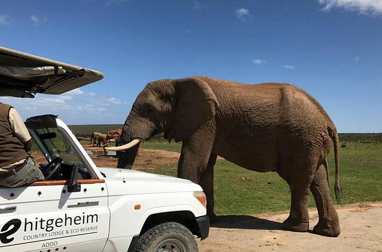 Unterkunft 1326403 - Ferienhaus Oost-Kaap - Hitgeheim Country Lodge