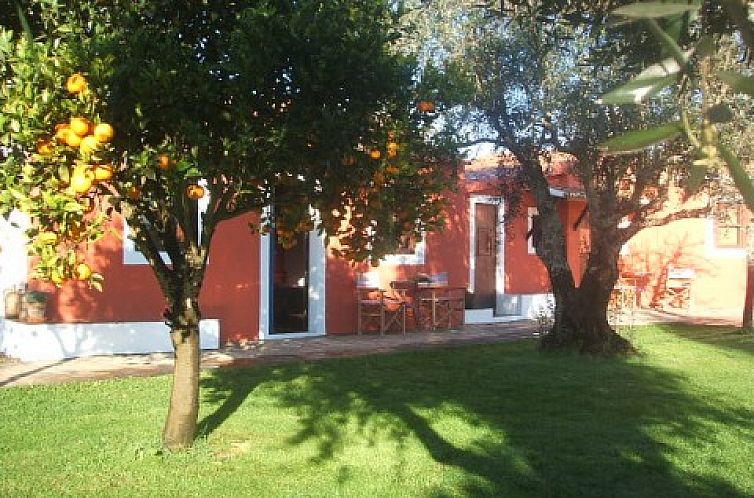 Entspannen Sie sich im Ferienhaus Verdemar, das im naturreichen Alentejo in Portugal liegt.
