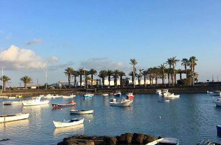 La Ballena del Charco