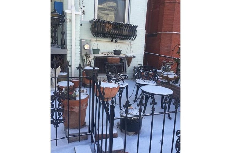 Ledroit Park Renaissance Bed and Breakfast