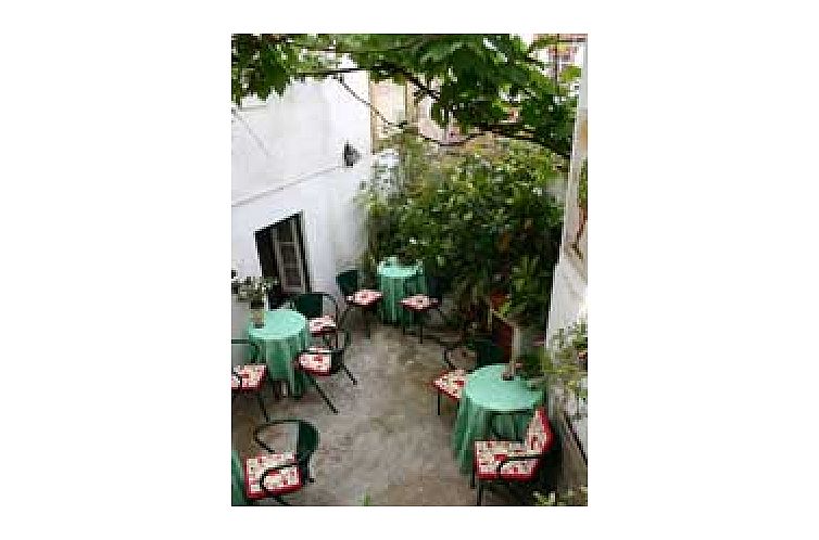 Entdecken Sie den charmanten Innenhof des Gaestehauses Casa Pombal, einer Fruehstueckspension in Coimbra, Alentejo, Portugal, umgeben von ueppigem Gruen.