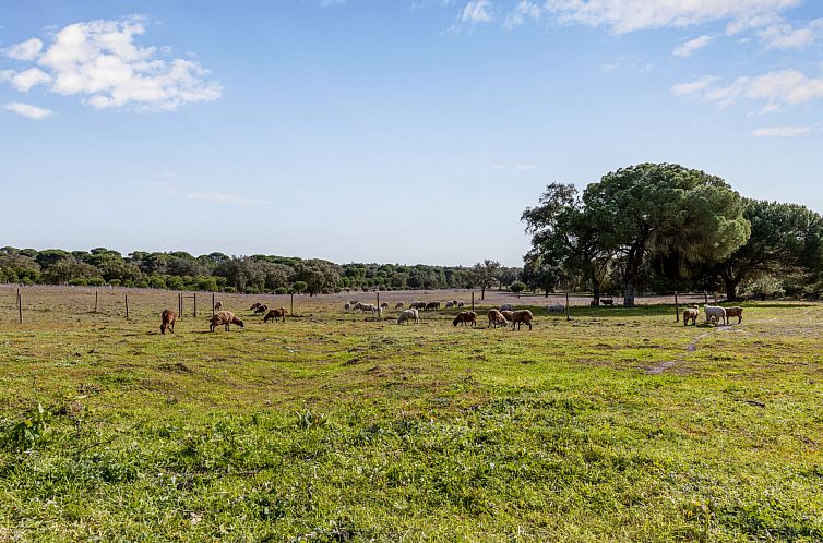 Vakantiehuis Quinta de Santa Emilia 3