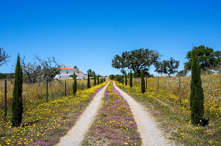 Vrijstaande woning in Ourique