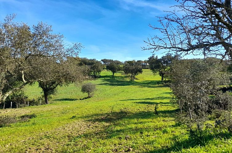 Vrijstaande woning in Ourique