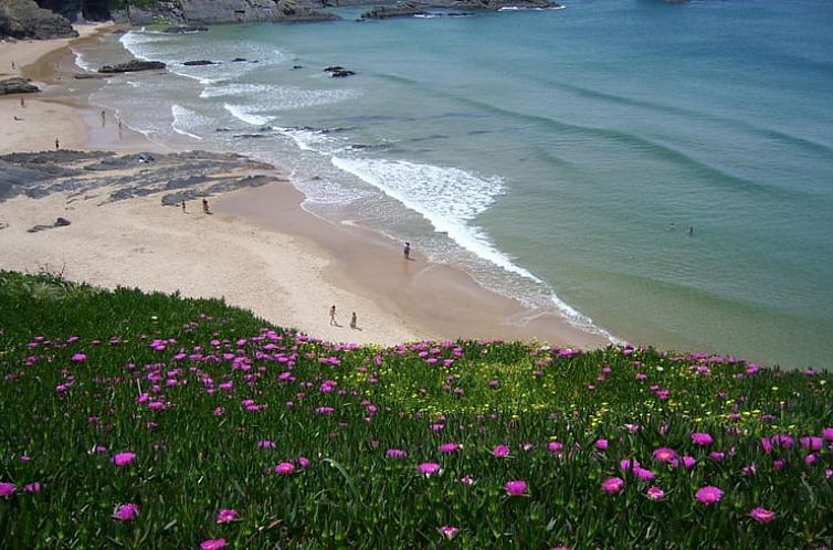 Vakantiehuis in Troviscais