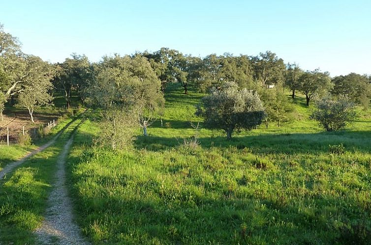 Vakantiehuis in Abela