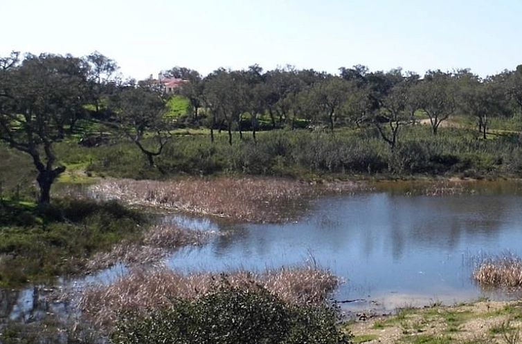 Vakantiehuis in Abela