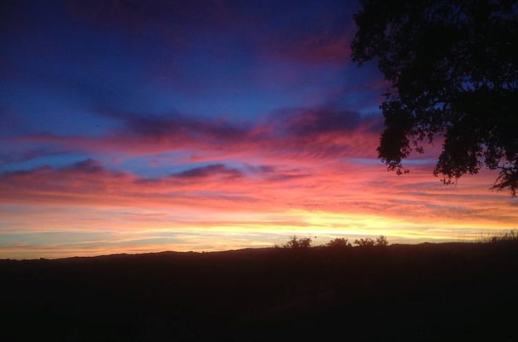 Vakantiehuisje in Amoreiras Gare