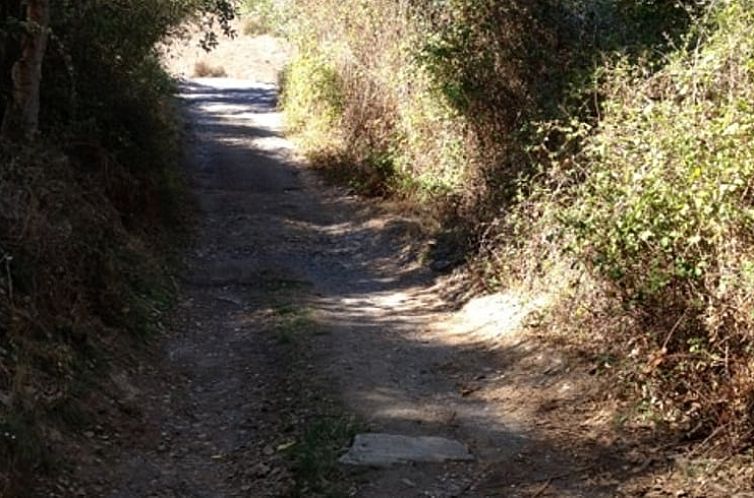 Vakantiehuisje in Amoreiras Gare