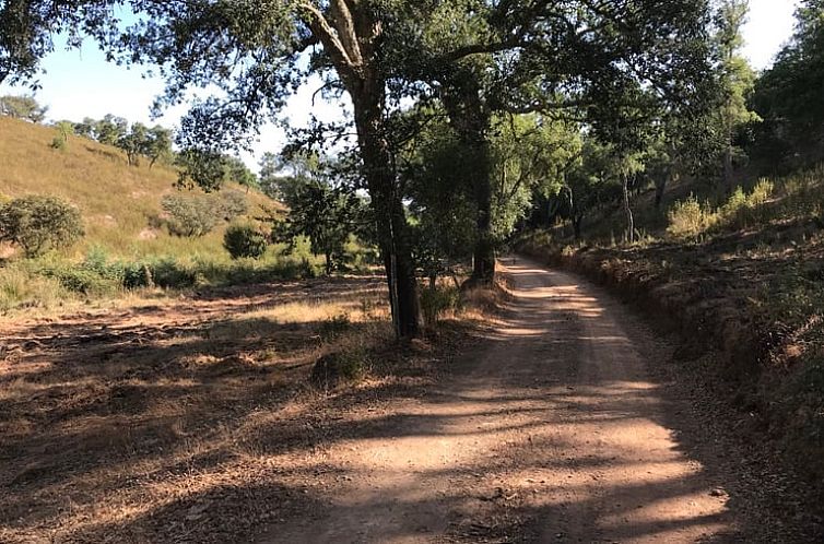 Vakantiehuisje in Amoreiras Gare