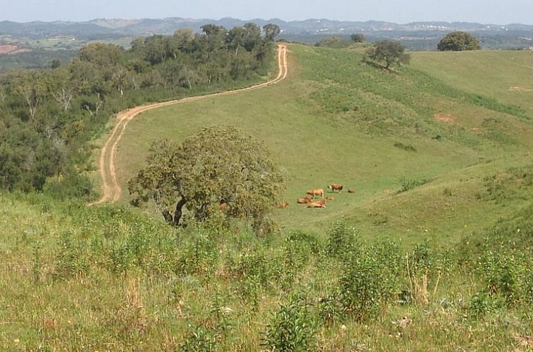 Vakantiehuisje in Amoreiras Gare