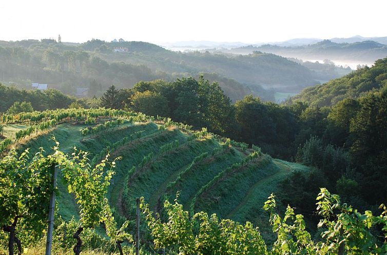 Vakantiehuis für 8 Personen  + 4 Kinder ca. 200 m&sup2; in 