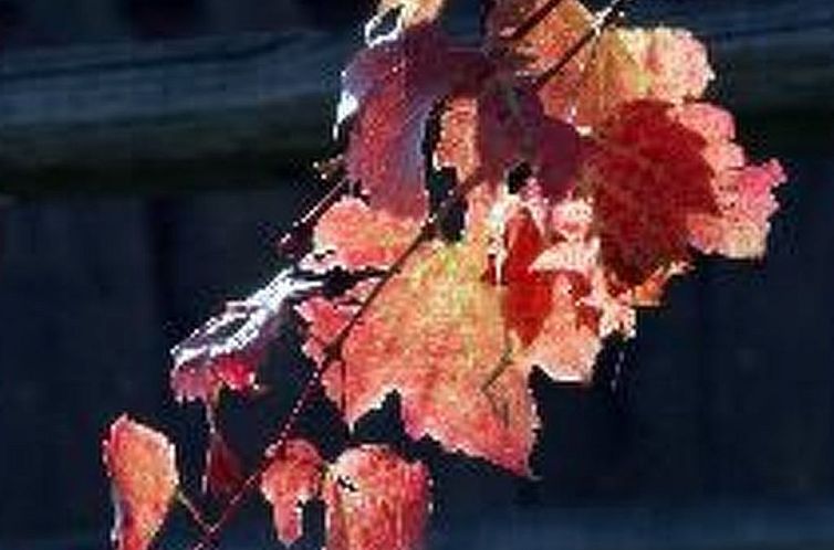 Vakantiehuis für 8 Personen  + 4 Kinder ca. 200 m&sup2; in 