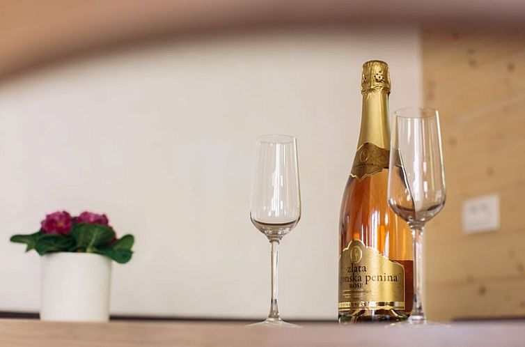 Huisje in Bohinjska Bistrica