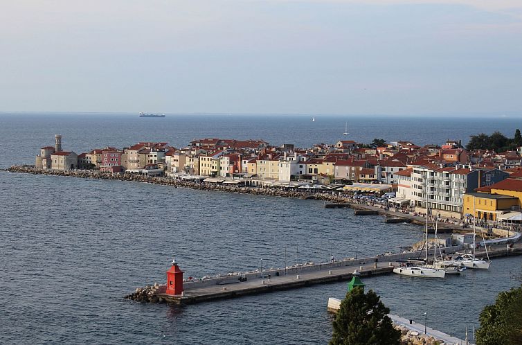 Appartement Apartment King mit zwei Schlafzimmern für 4 Per
