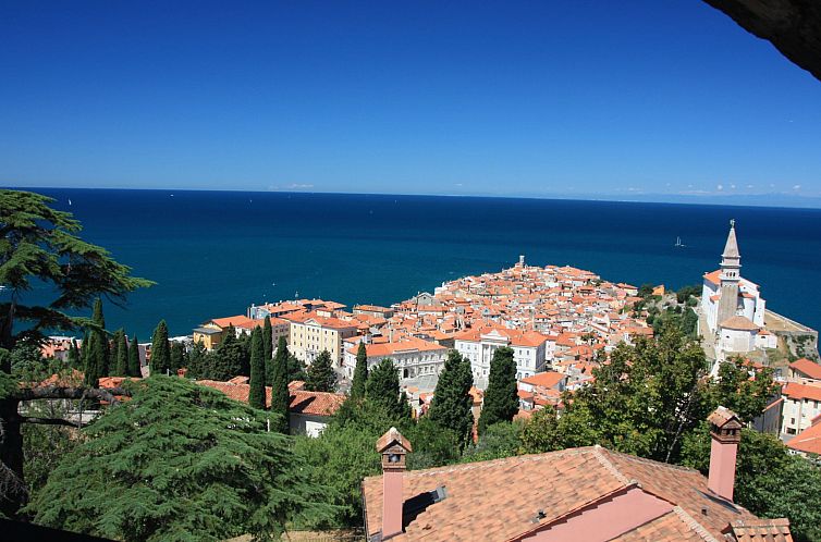 Appartement Apartment King mit zwei Schlafzimmern für 4 Per