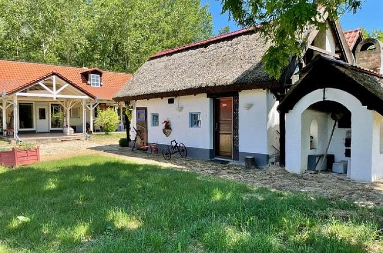 Vrijstaande woning in Dedina Mladeze