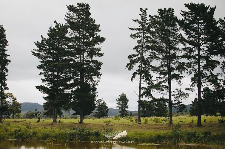 Bella Manga Country Escape