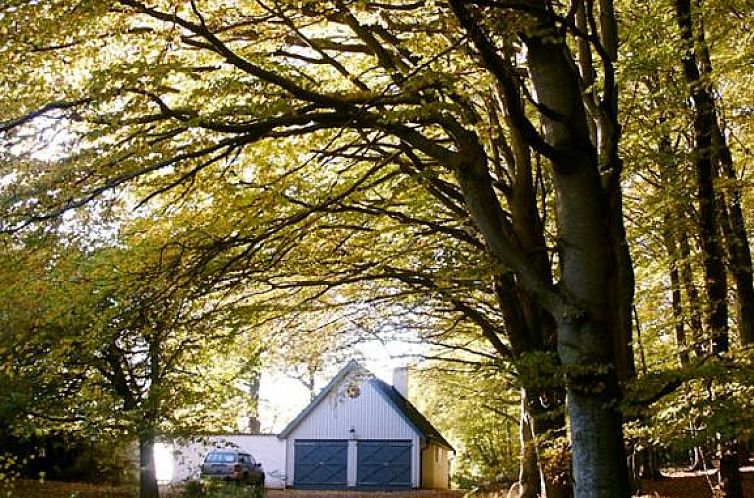 Trolleberg Bed & Breakfast