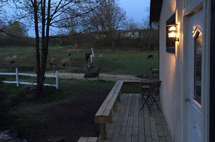 Farm Stay Happy Dogs Ranch