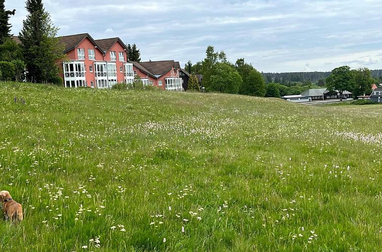 Apartment Heller am Hasselkopf