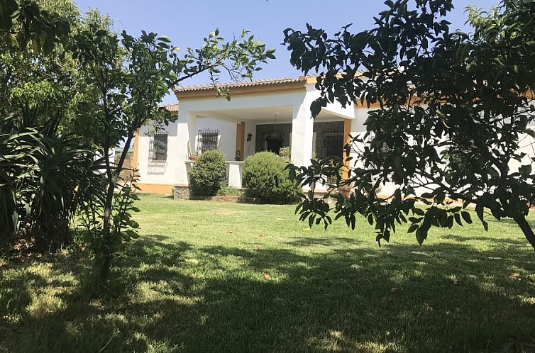Discover the tranquility of Finca El Juncal, a charming B&B in Posadas, Andalusia, surrounded by green nature.