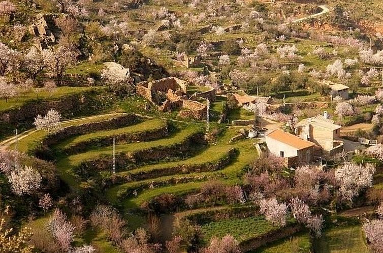 Vakantiehuis Ländliches Haus El Tenguerengue