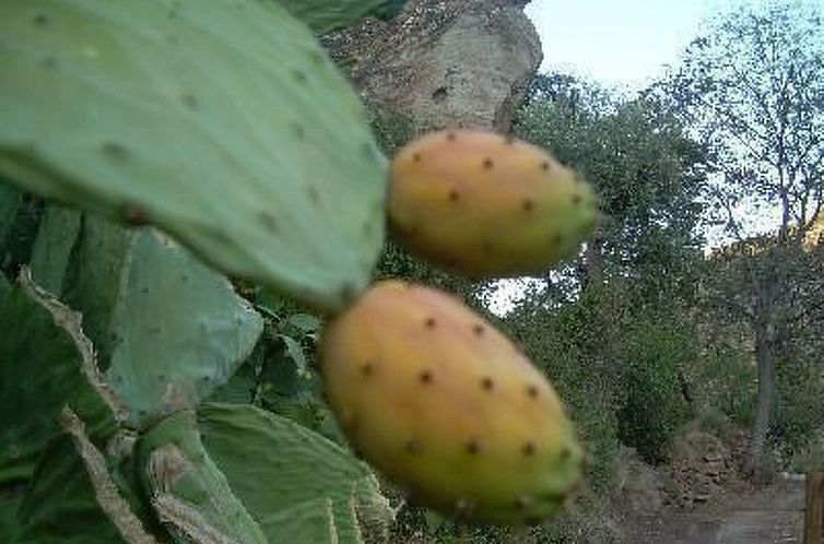 Vakantiehuis Das Upside Down House mit Whirlpool-Badewanne