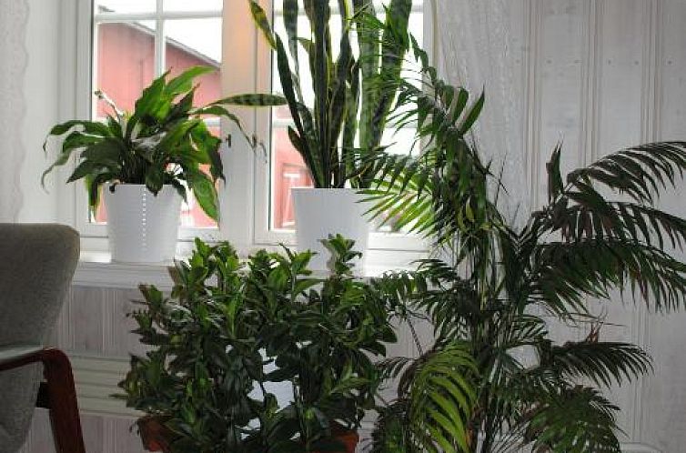 Grong Gård Guesthouse