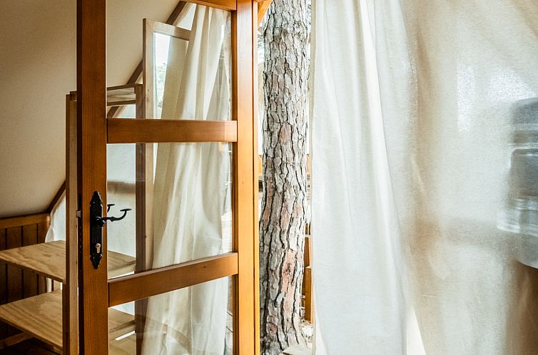 Glamping Tipi Retama