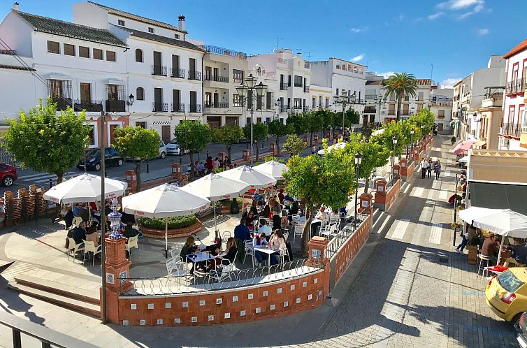 Guest house 14124701 - Apartment Andalusia - Appartement Wohnung in der "PASEO". Zentrum von La Rambla (C