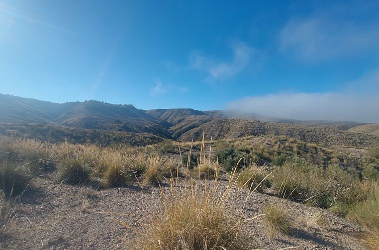 Unterkunft 14127805 - Ferienhaus Andalusien - Kavel in Freila