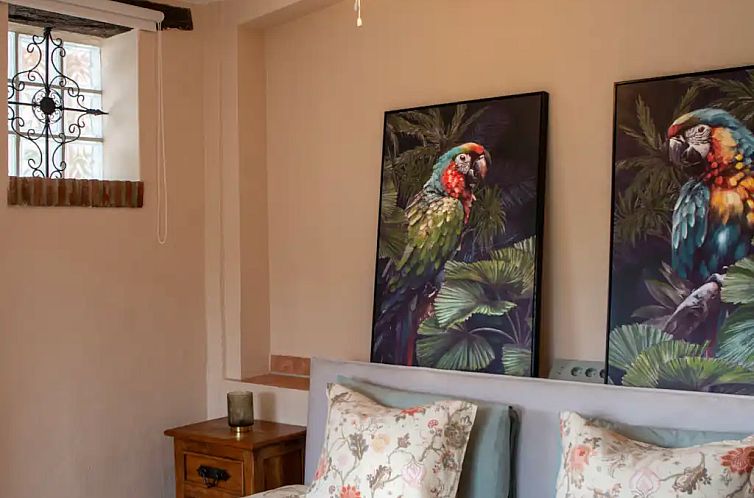 Casa Carla Andalucia - Studio Zorro