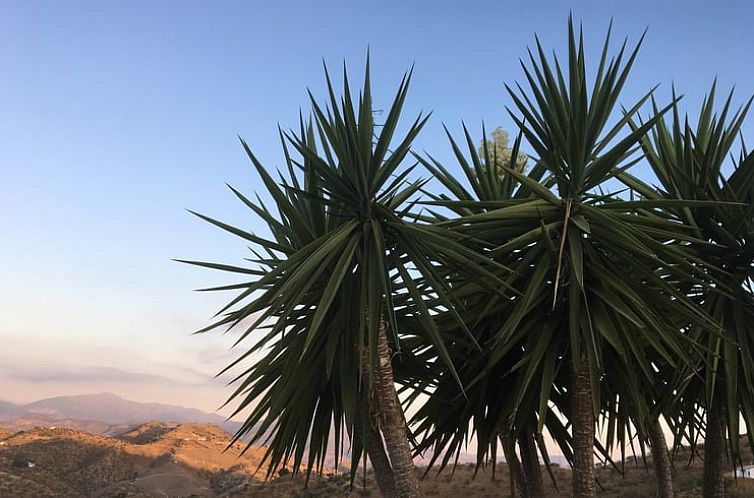 Vakantiehuisje in Alora
