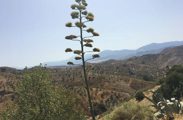 Vakantiehuisje in Alora