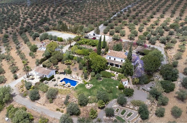 Ferienhaus in Las Mellizas - Alora, umgeben von Olivenhainen in Alora, Andalusien, mit herrlicher Aussicht und einem einladenden Swimmingpool.