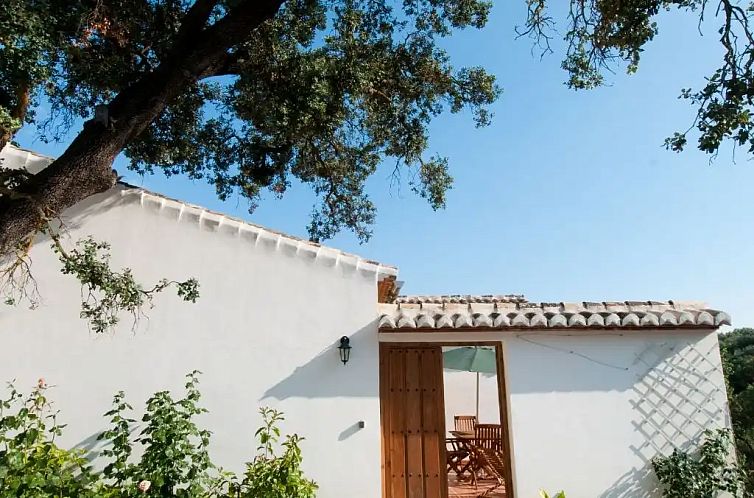 La Palomera, Molino La Ratonera