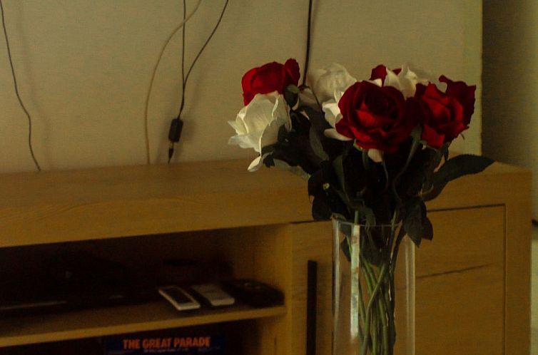 Appartement Touristische Wohnung "Apt. mit Balkonen".