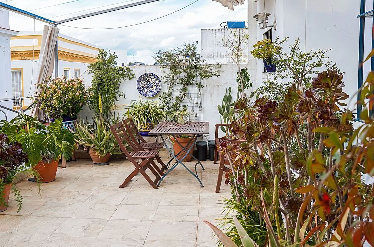 Appartement Helle Dach-Maisonette mit riesiger Terrasse