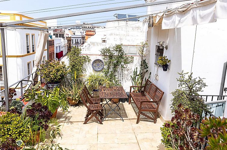 Appartement Helle Dach-Maisonette mit riesiger Terrasse