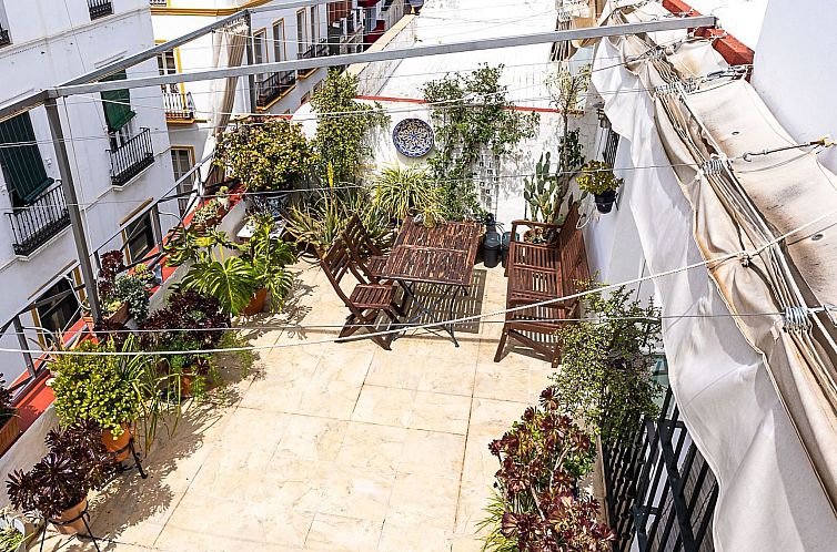 Appartement Helle Dach-Maisonette mit riesiger Terrasse