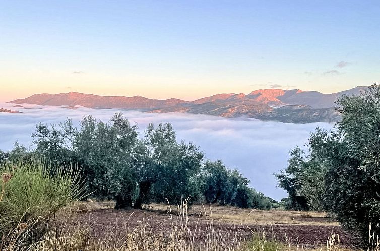 Vakantiehuis Finca "Molino" mit privatem Pool