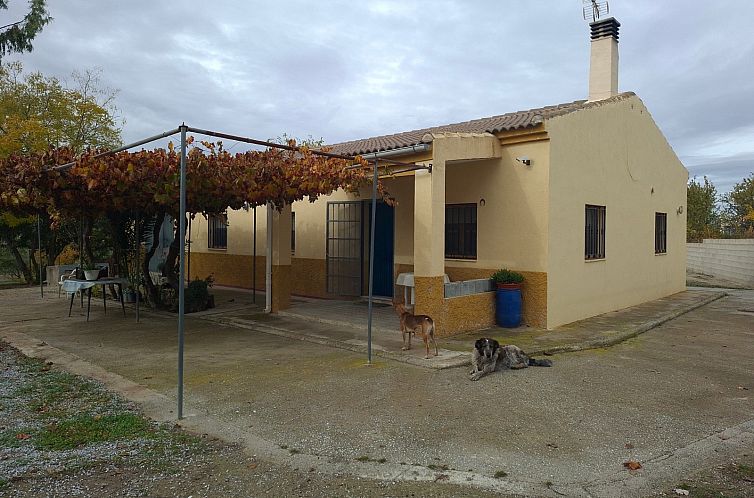 Unterkunft 14167405 - Ferienhaus Andalusien - Vrijstaande woning in Caniles