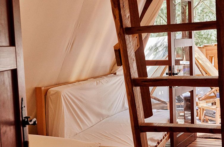 Sauceda Tent