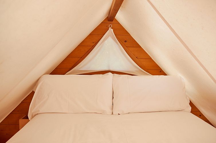 Janda Tent
