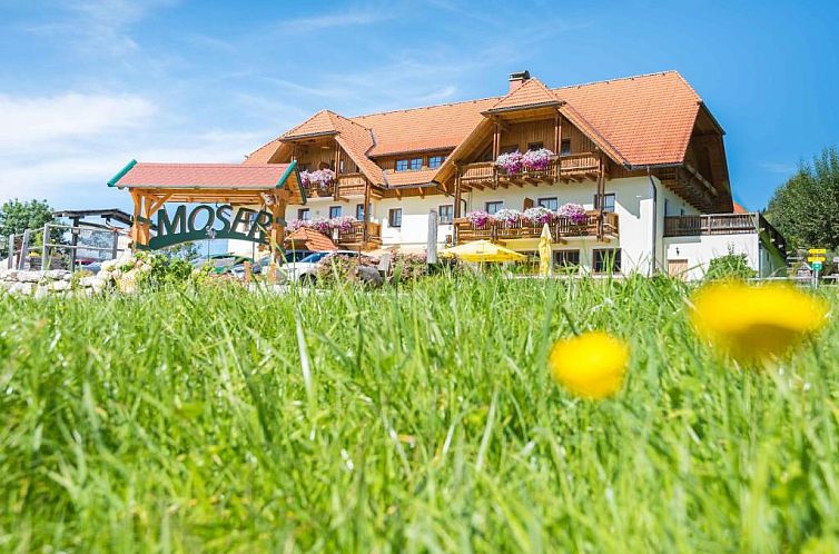 Guest house 14211501 - Apartment Steiermark - Alpengasthof Moser