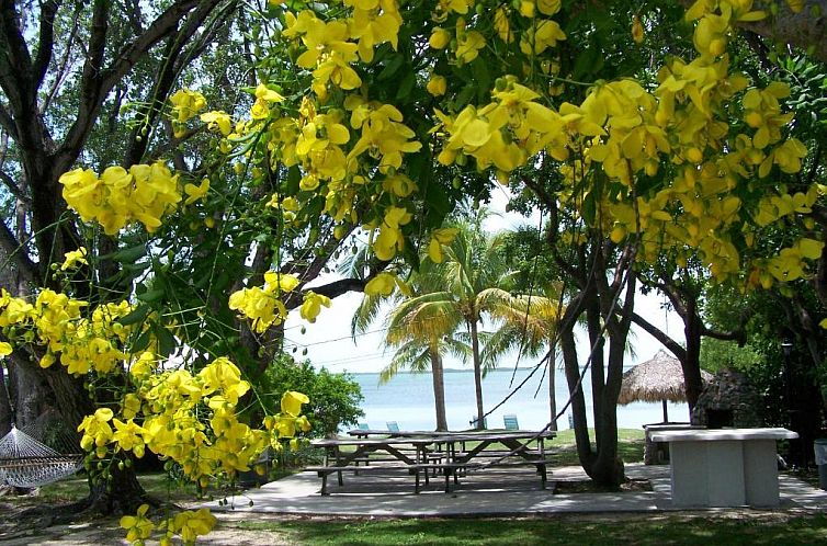 Rock Reef Resort