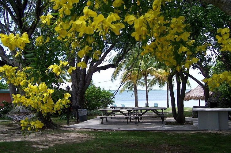 Rock Reef Resort