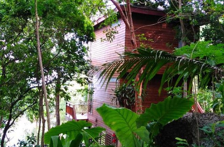 Amaresa Resort & Sky Bar - experience nature