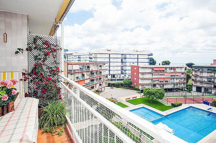 Guest house 1432611 - Apartment Barcalona / Costa Maresme - Appartement Mariola